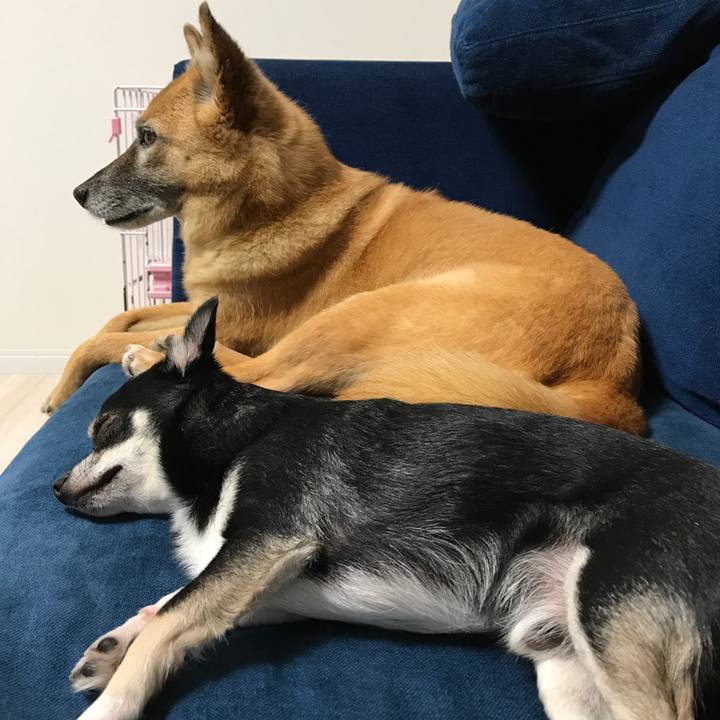 E7f7ce2c 52b7 4751 933d e35651be11a4