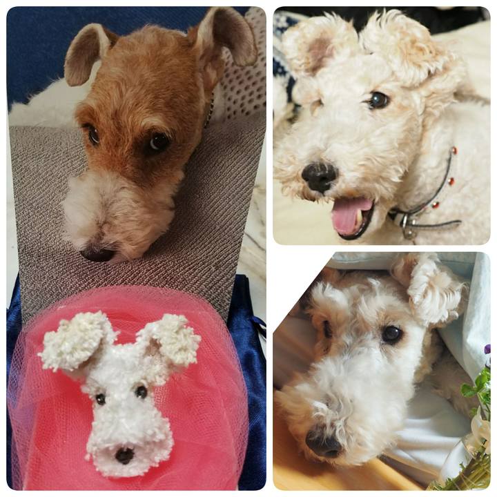 E7f7dfbd 5d79 44b0 acb6 38882f22493a