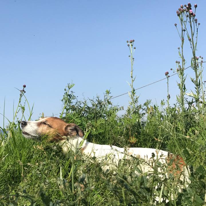 E7f83a14 52e8 43d0 837f 0250b4749be0