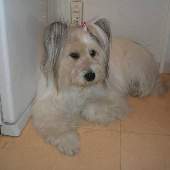 E7f89edc d1c3 48c1 8bf3 67c0734265af