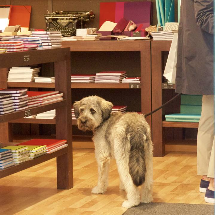 E7f9124e 1d6f 47a0 a985 13d5a5d6a7a6