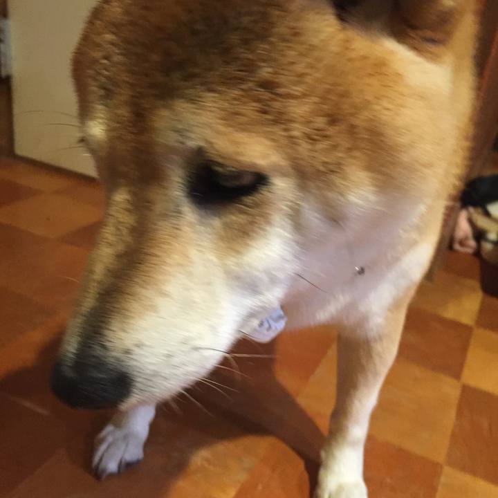 E7fad2a6 4348 4bdb 93df d6b9662cc318