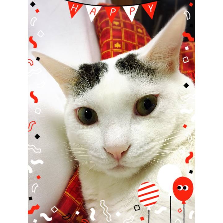 E7fb71fa 957e 4618 9852 6e5d34644bfc