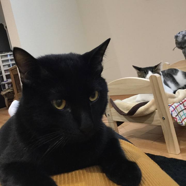 E7fbcb14 65b7 4a1f aacb 748a73431a54