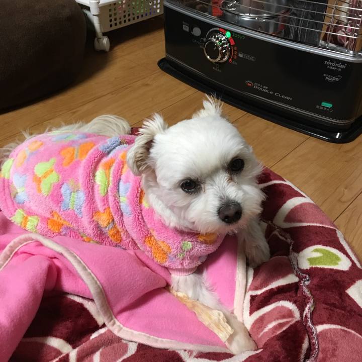 E7fc1966 8c37 4a98 98d4 f5e6548eade8