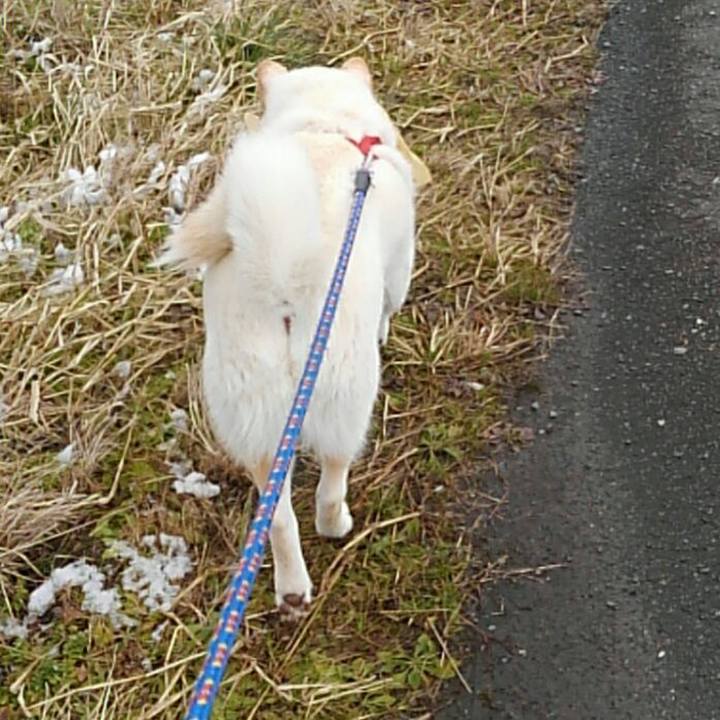 E7fc628f f13e 44ab 904b d4f5958a3326