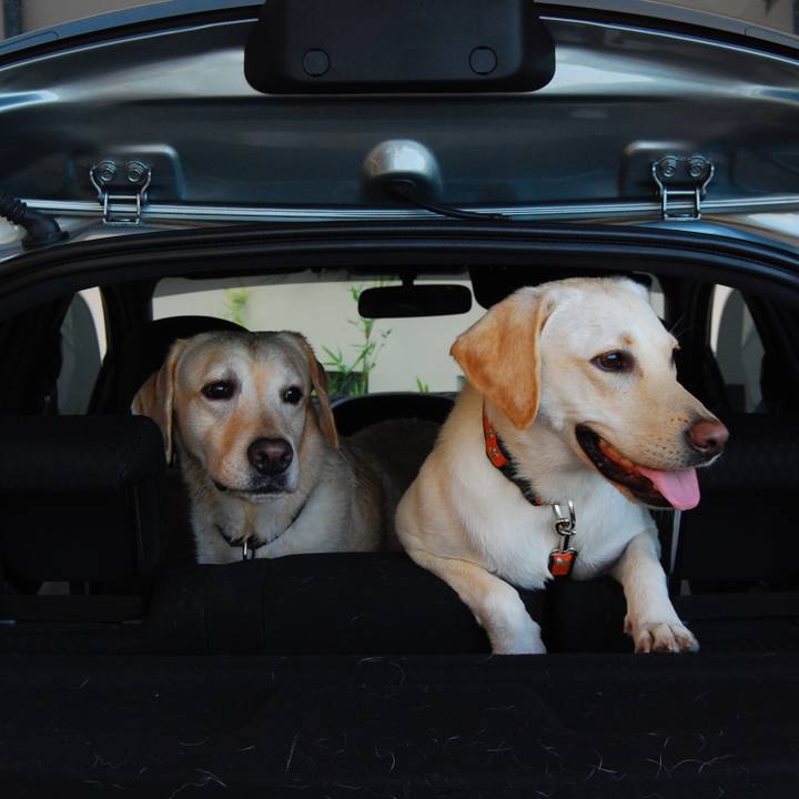 E7fc8f07 47c9 4817 9292 d4135f6a11a6