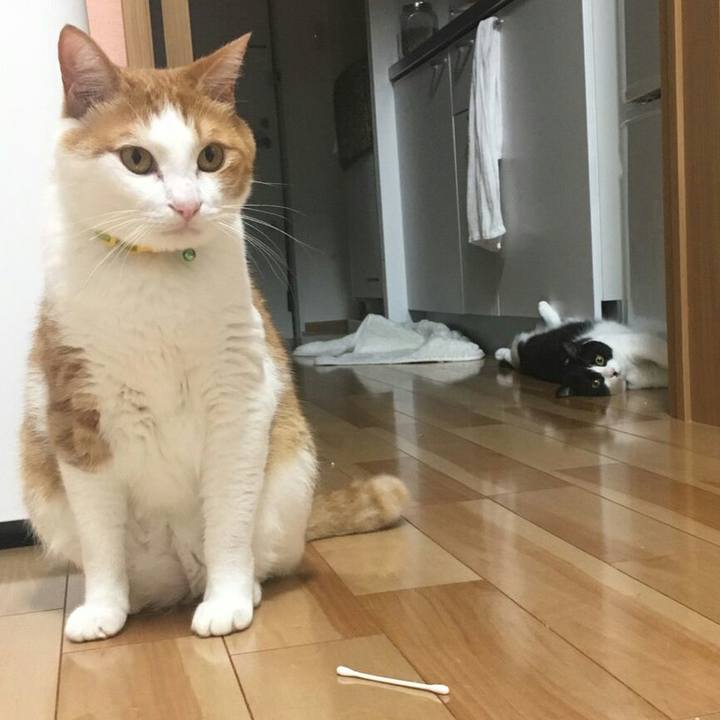 E7fc9c71 c9c3 4aec bb2c 1935e20a683e