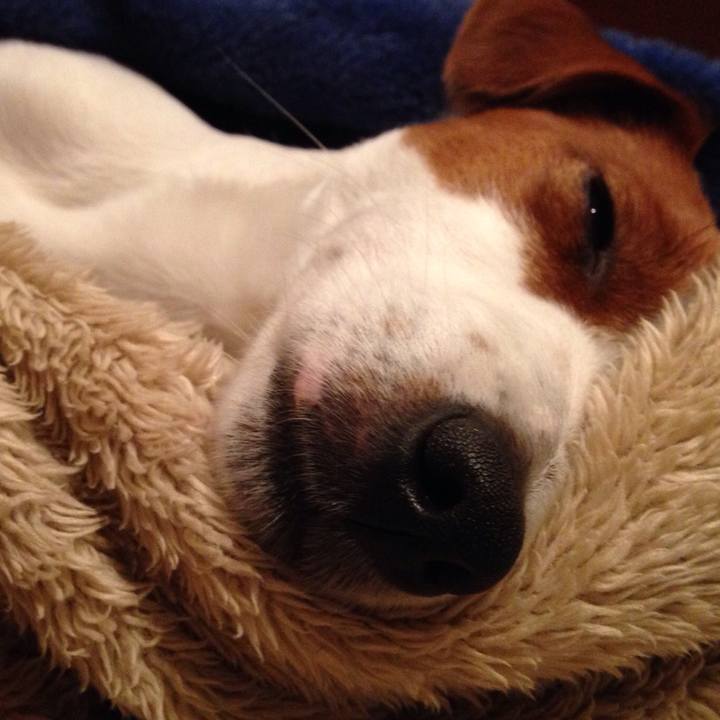 E7fcb436 b314 41ae aa2d 8a23b9db42c6