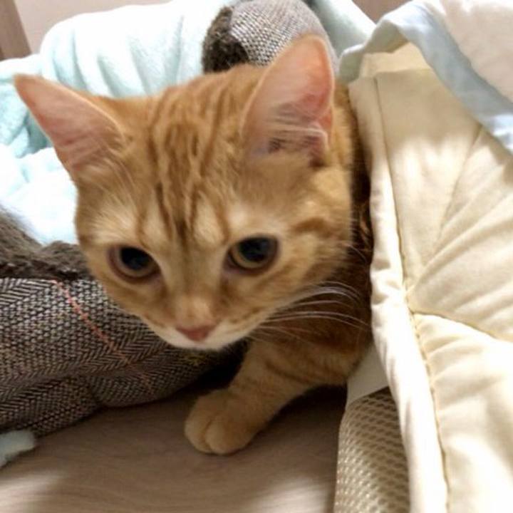 E7fcddba 5868 4055 9b2c 2c636f8105ae