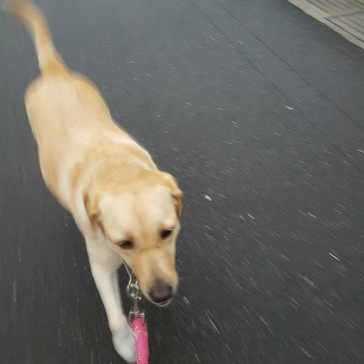 E7fd8c94 9136 4fd6 8f3c b7972b889edb