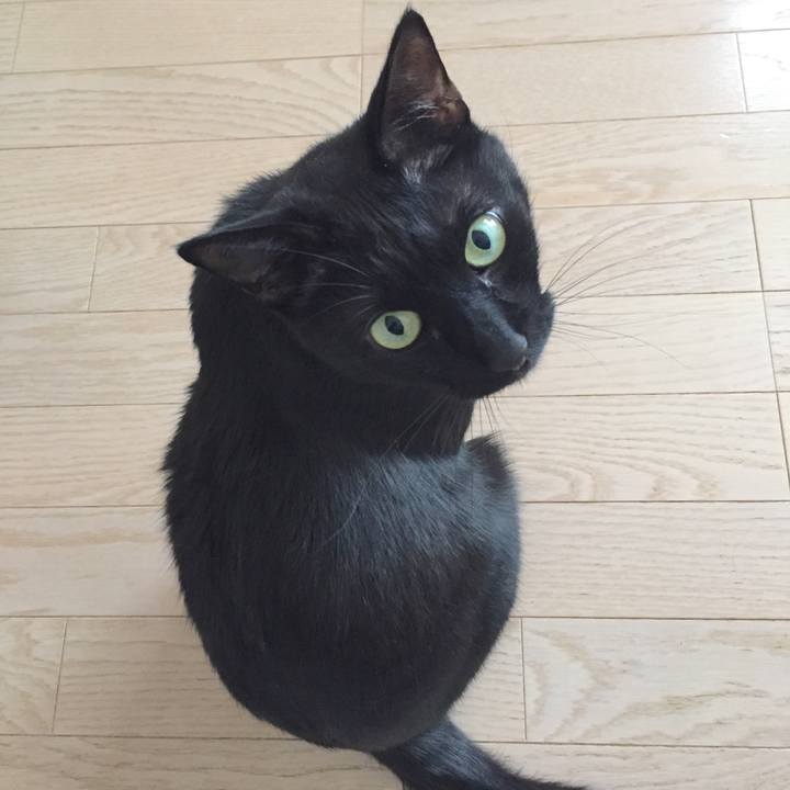 E7fdf2d0 b923 4765 be1e 50eebd812e76