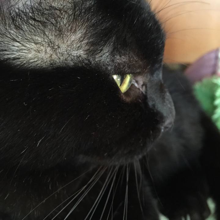 E7fe25a5 10a3 4630 822a 3d71e5056629