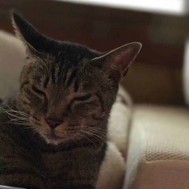 E7fe4500 042a 483a 8b8c 52a261f95f02