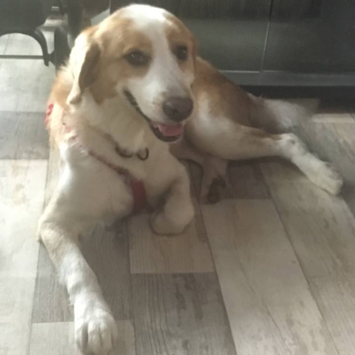 E7fe9e5b dd11 4a20 9549 b92a357c6d50