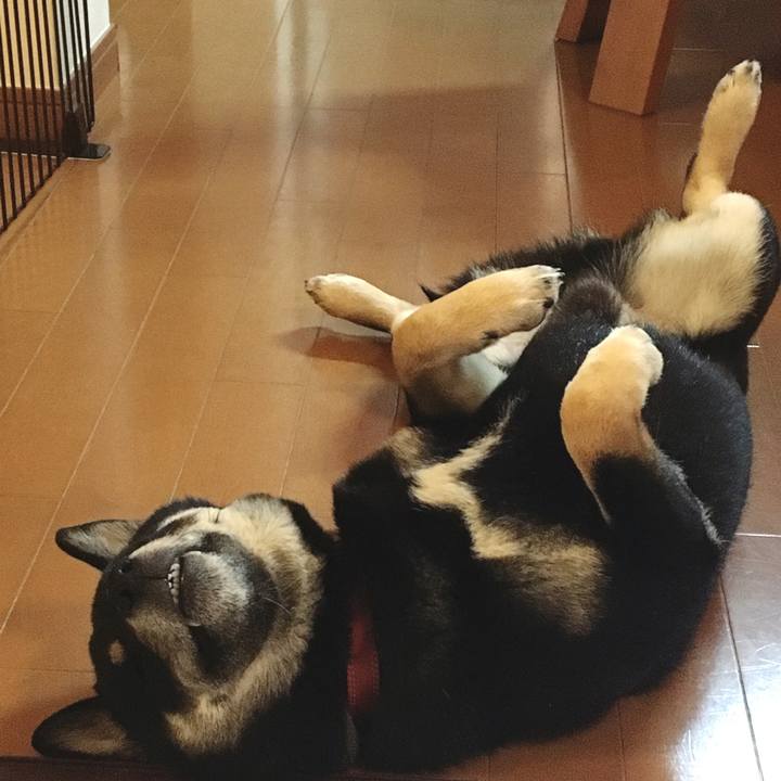 E7ff3635 9970 4f5f 9d17 b5c0e957e0dd