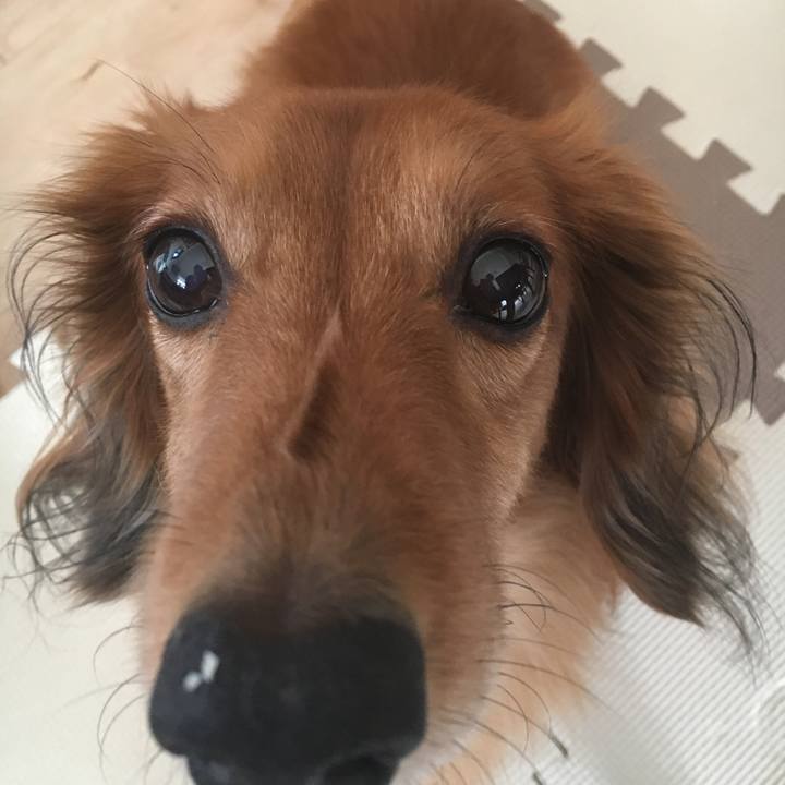 E7ff7db8 2bf9 4a79 b033 fd57b9481d3b