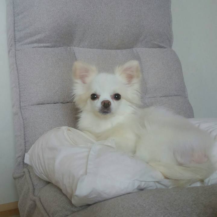 E8002eb6 e377 44b5 901c 937d080cf46b