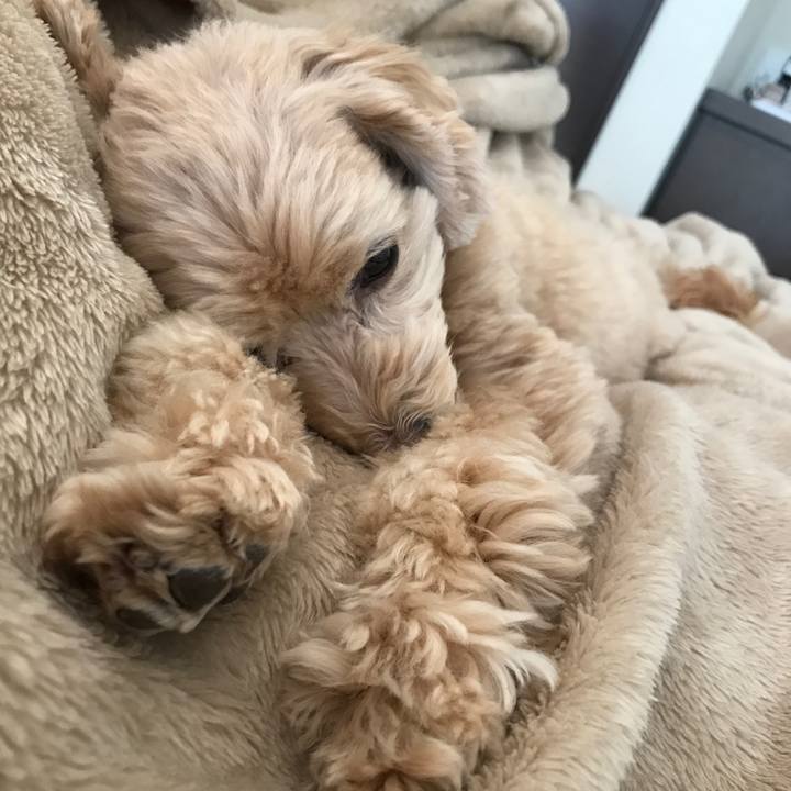 E80033af aa8f 420f a189 09241b474911