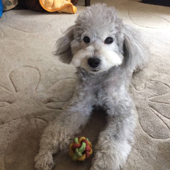 E80049a0 7c7f 44f4 95ff 569e7d213078