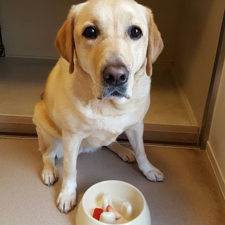 E8006c9c 1713 497b a0a4 5682841c46cd