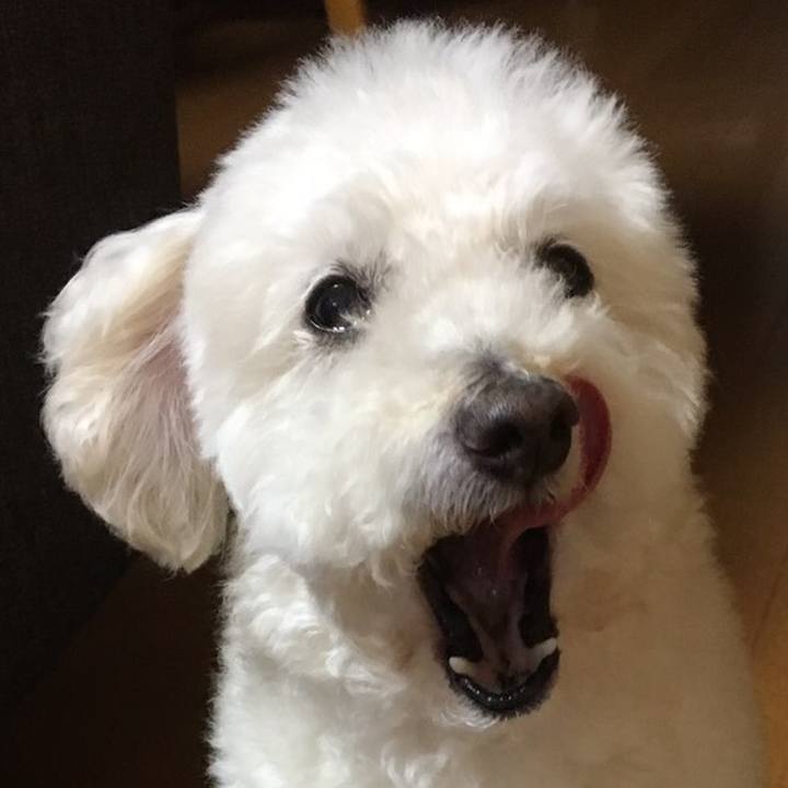 E800990a df8d 4fb6 9e34 202d7eac4922