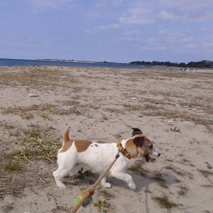 E800d4da 75e7 46be ab54 d80a8f4fb194