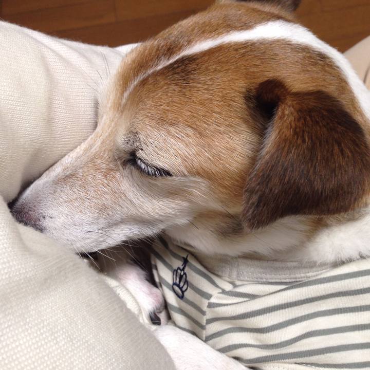 E800de46 6460 4b55 ad0d ac10d144a952