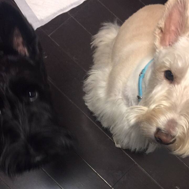 E8017225 a807 4ec8 909e 5ab51ac1f9ed