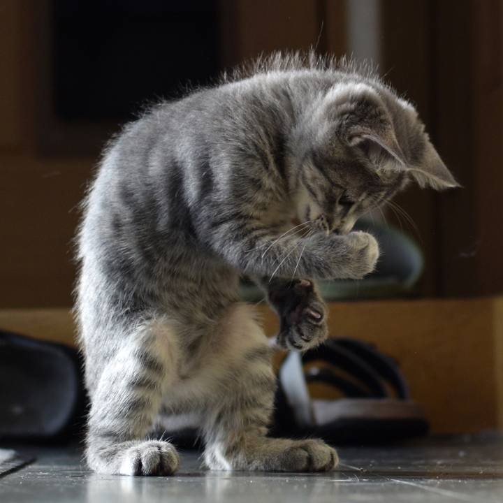 E801ca6d b238 4f07 888f 57e8c3507106