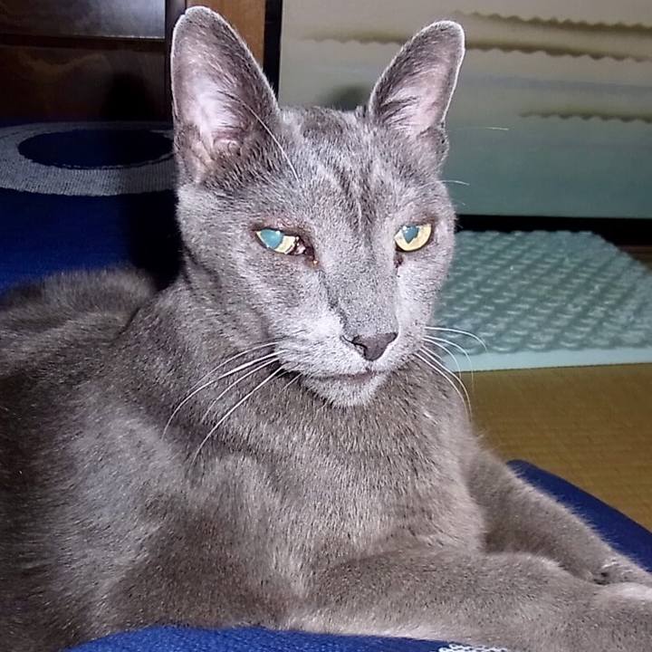 E8020973 d585 4533 a6bd 4ee0c011a330