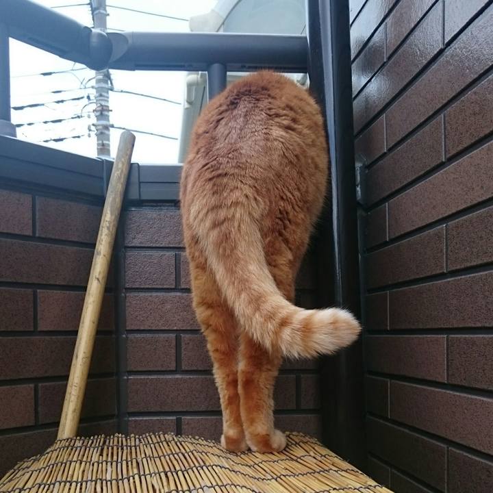 E8021d11 2c9f 49d1 b4d8 557602007e3a