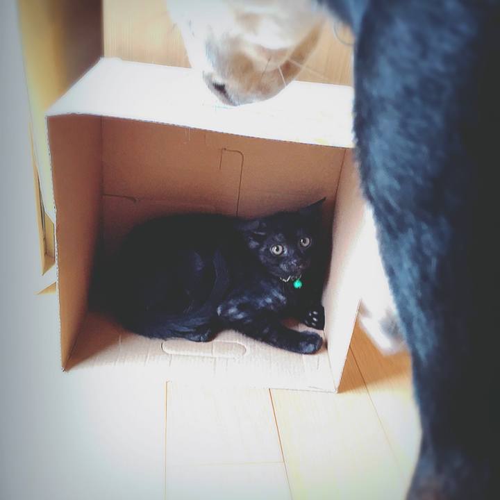 E8023c05 62c2 4862 98a7 6edc864f66e6