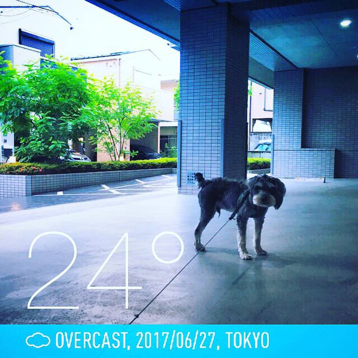 E8026290 3599 4275 9002 cb55330610a2