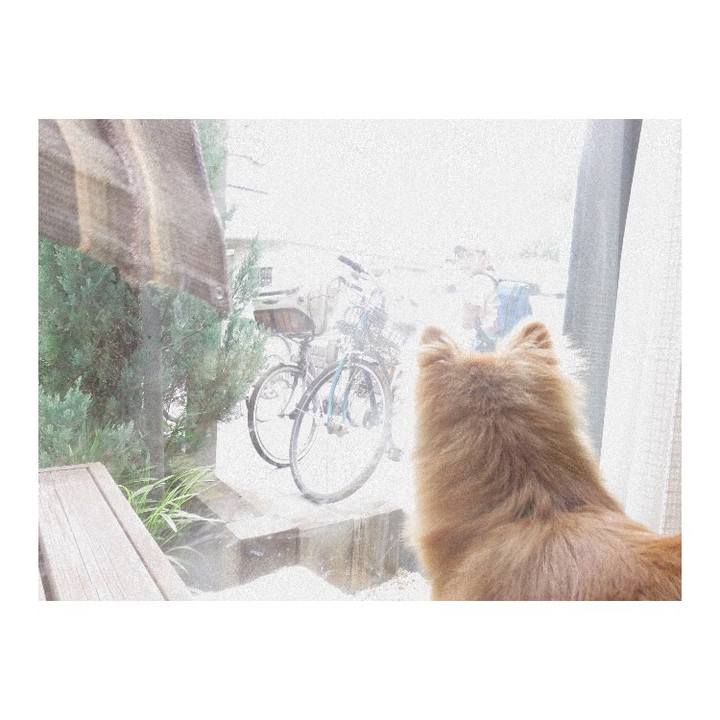 E8029f9b c466 4ee1 8968 c836aa291817