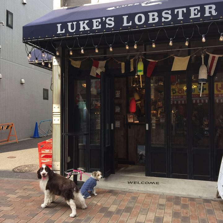 E802bd3f b549 4293 9812 5289bbeb3f96