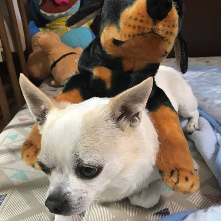 E802e54b a3c6 4704 8e59 0045849d1c29