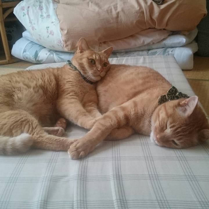 E802ec53 5cb9 4fb8 b935 c78a21e3022b