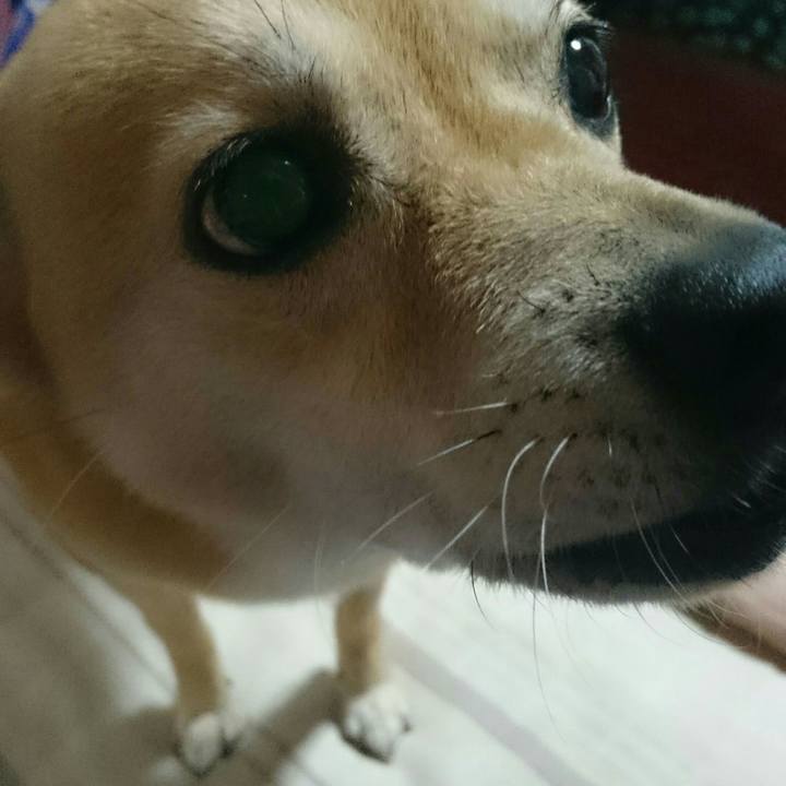 E802f979 26f7 408a 91d8 35fdcbf2062a