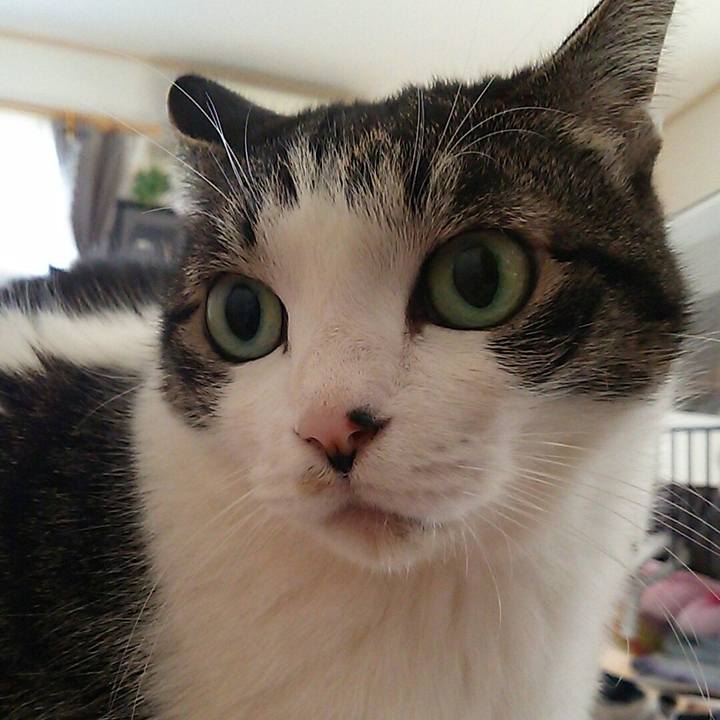 E8031dee 5cc2 47c0 8139 b1dfb8853a1c