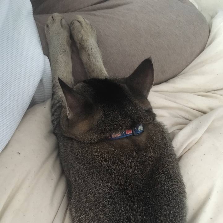 E8032749 4344 4c16 8c93 c6c2ce3179aa