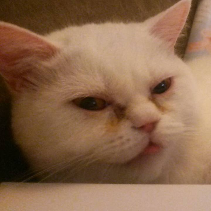 E8048e4d 9d25 495b 85f1 6c3f716f6a1a