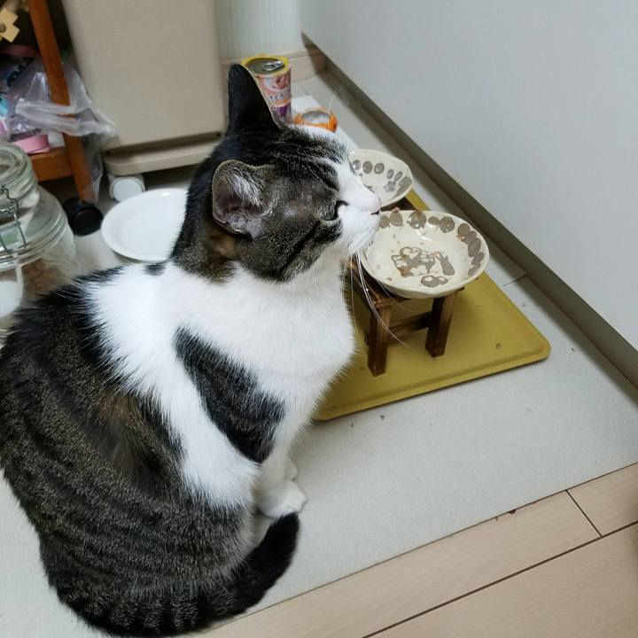 E8049a01 de10 4a01 bc13 512162a63517