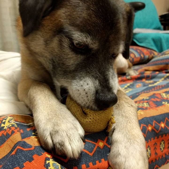 E804b4db 9f77 4350 af83 5e43cb6aa862