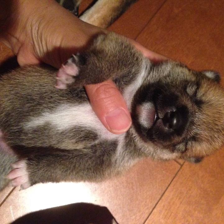 E805abdb 08f4 4b04 a6de 74b8f4ef3d05