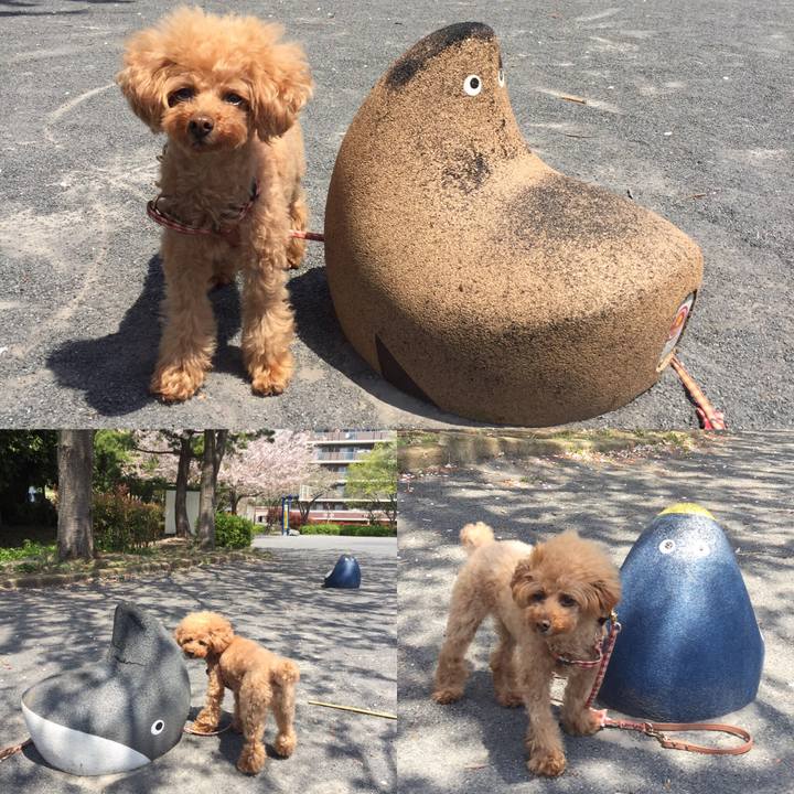 E805b2a8 ecfa 4be3 a81c 00e2c8e96ed2