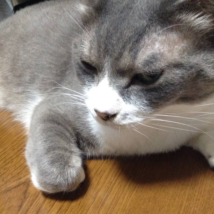 E805bbe6 6a46 41fc 8cc4 bef685e7f772