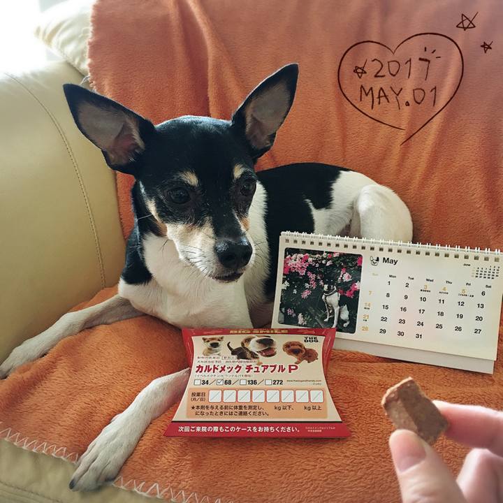 E80630f3 ad3f 40df 830c 9a6c3e067f49