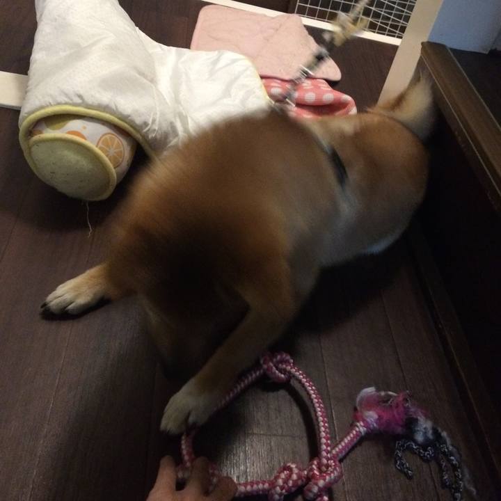 E806333c 5c7f 4113 9067 c59d9e94fd67