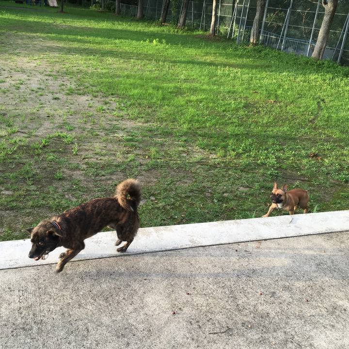 E806aea1 759c 45dc 8aaa 09fb305d0bdd